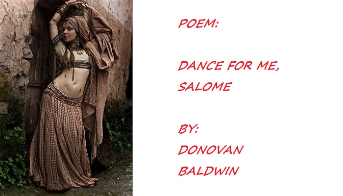 Poem by Donovan Baldwin, We Cannot Find the Singer